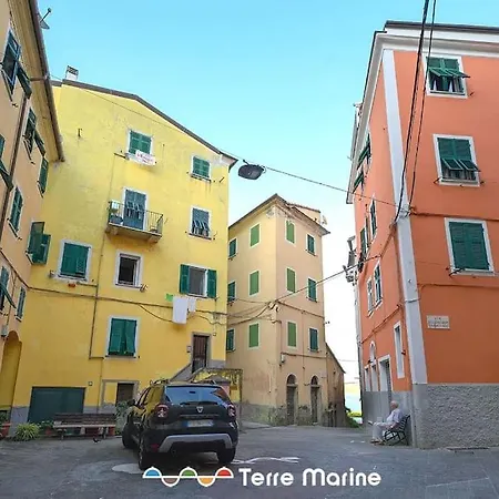 Vascello Di Marola, Terre Marine
