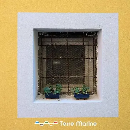 Vascello Di Marola, Terre Marine La Spezia