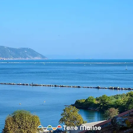 Vascello Di Marola, Terre Marine *