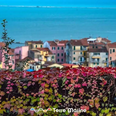 Vascello Di Marola, Terre Marine